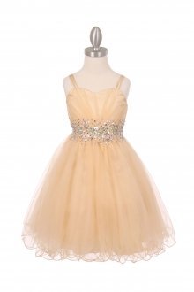 Champagne Sleeveless Mesh Junior Bridesmaid Dress with Beaded Waistline